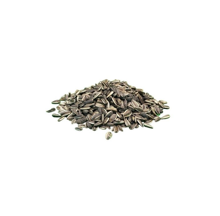 BTG Classic Bird Sonnenblumenkerne gestreift