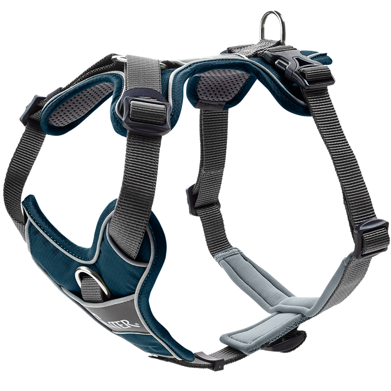 HUNTER Geschirr Divo