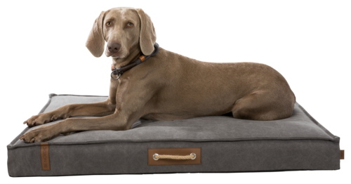 BE NORDIC Matratze Föhr - 100 × 70 cm