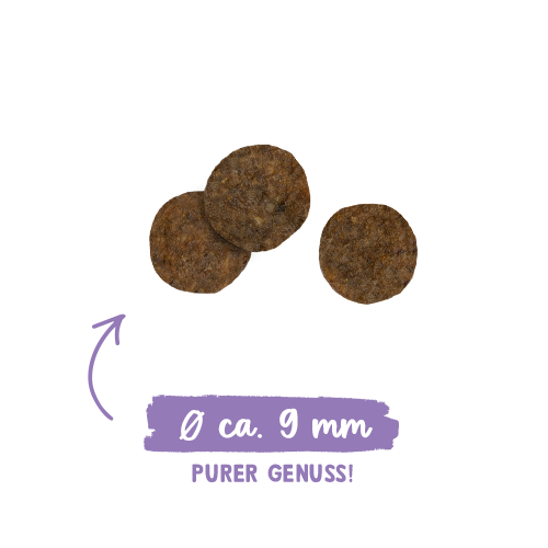 Sanabelle Sterilized