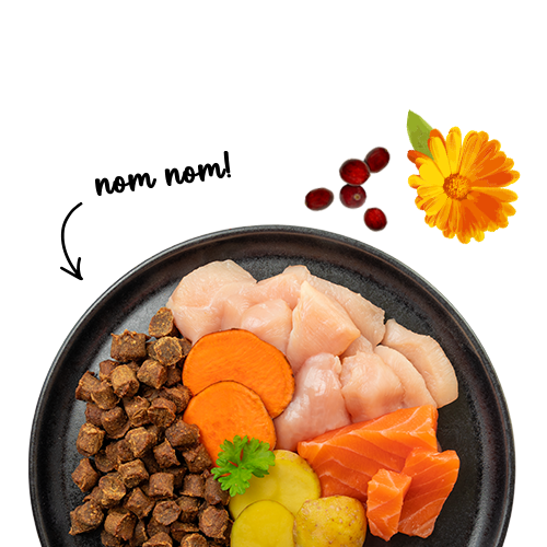 Sanabelle Juicy Nordsee-Lachs