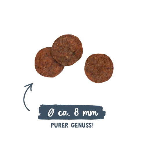 Sanabelle Adult mit Forelle