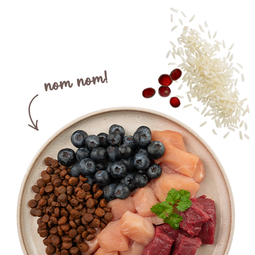 Sanabelle Sensitive mit Lamm