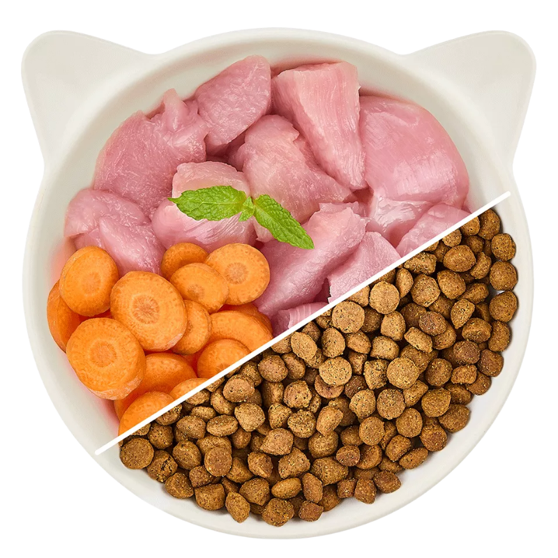 Wow Cat Trocken Junior Geflügel