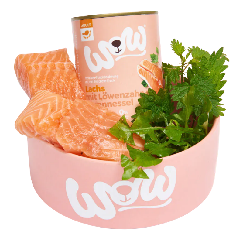 Wow Dog Dose Adult Lachs 800g