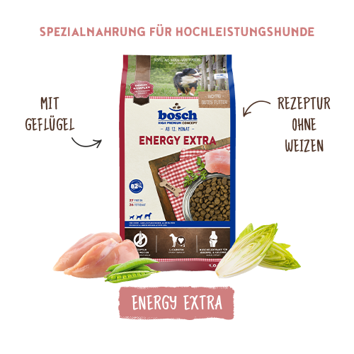 Bosch Energy Extra