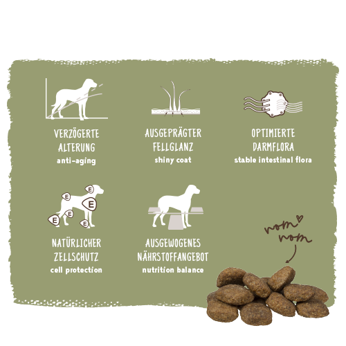 bosch HPC Maxi Senior mit frischem Geflügel & Reis