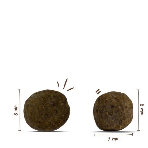 bosch HPC Mini Junior