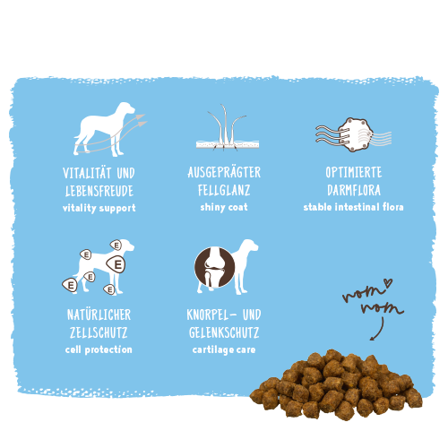 bosch HPC Mini Junior