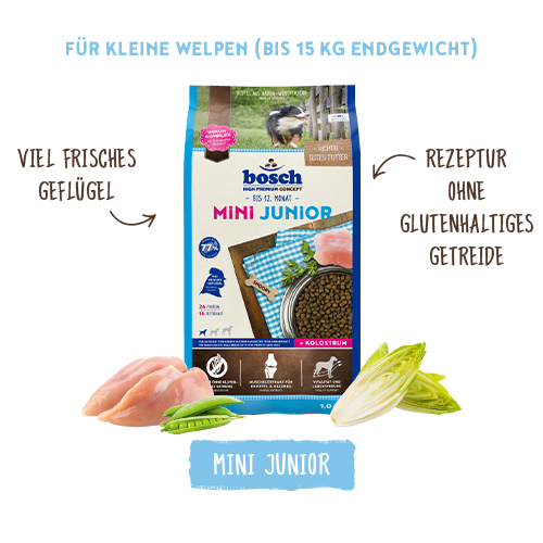 bosch HPC Mini Junior