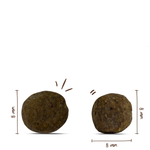 bosch HPC Mini Senior