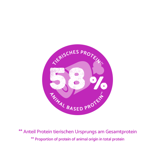 bosch HPC Mini Senior