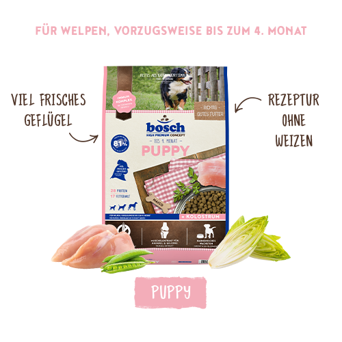 bosch HPC Puppy