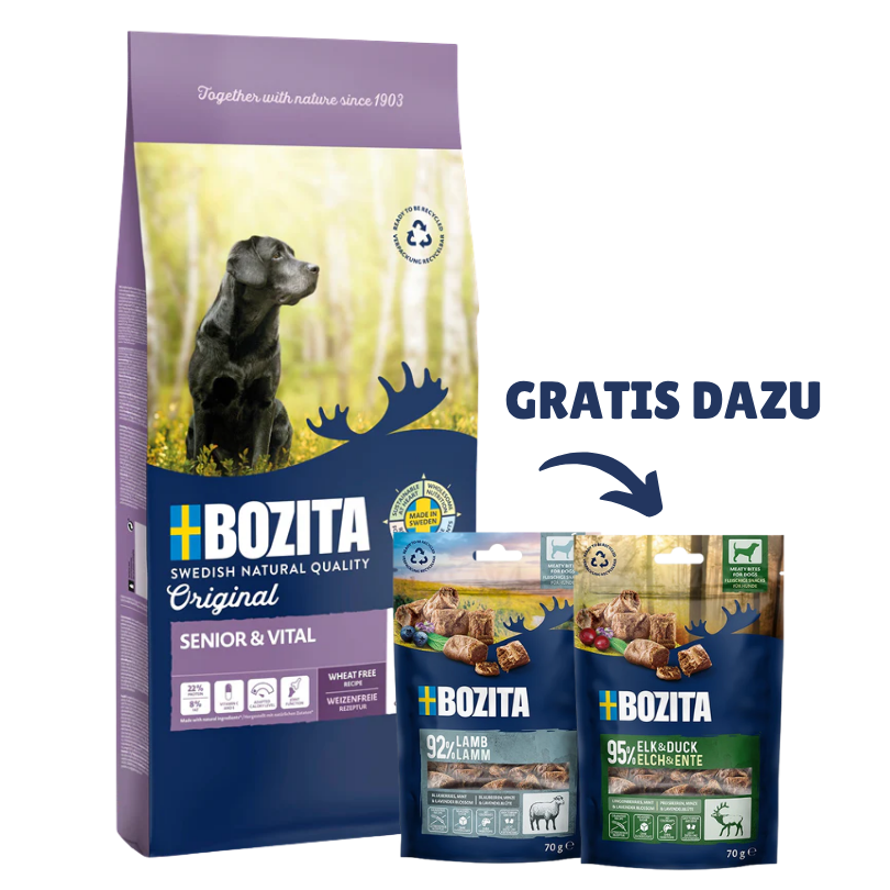 Bozita Original Adult Senior 12 kg & 2 x GRATIS Bozita Snacks (Elch, Lamm)
