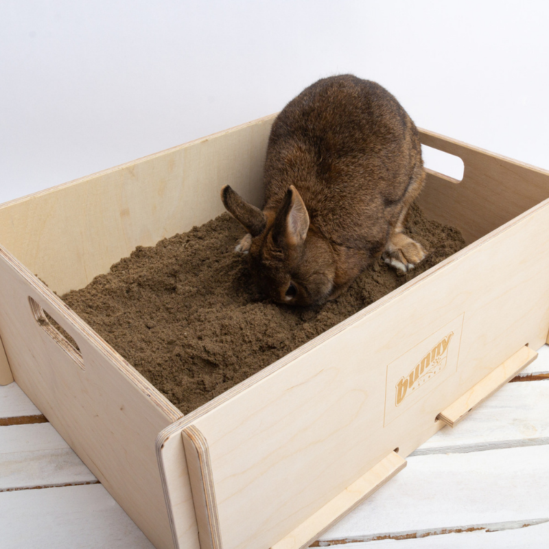 Bunny Buddelkiste
