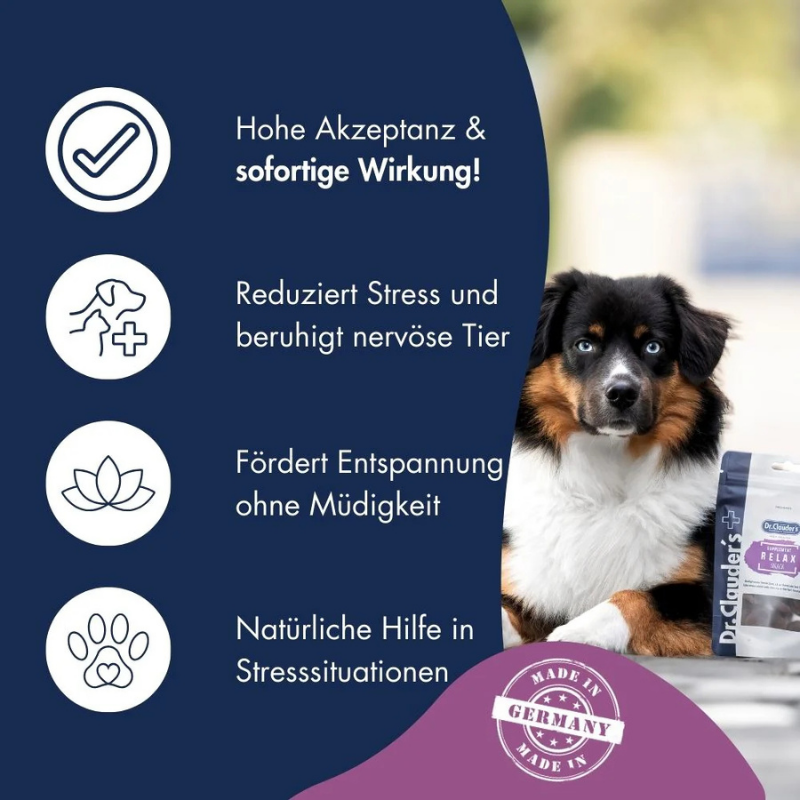 Dr.Clauder's Dog Supplement Snack Relax 150 g