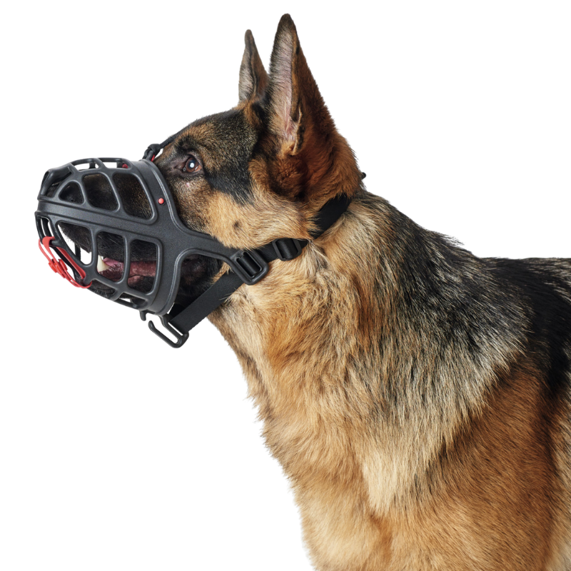 Hunter Maulkorb Albury