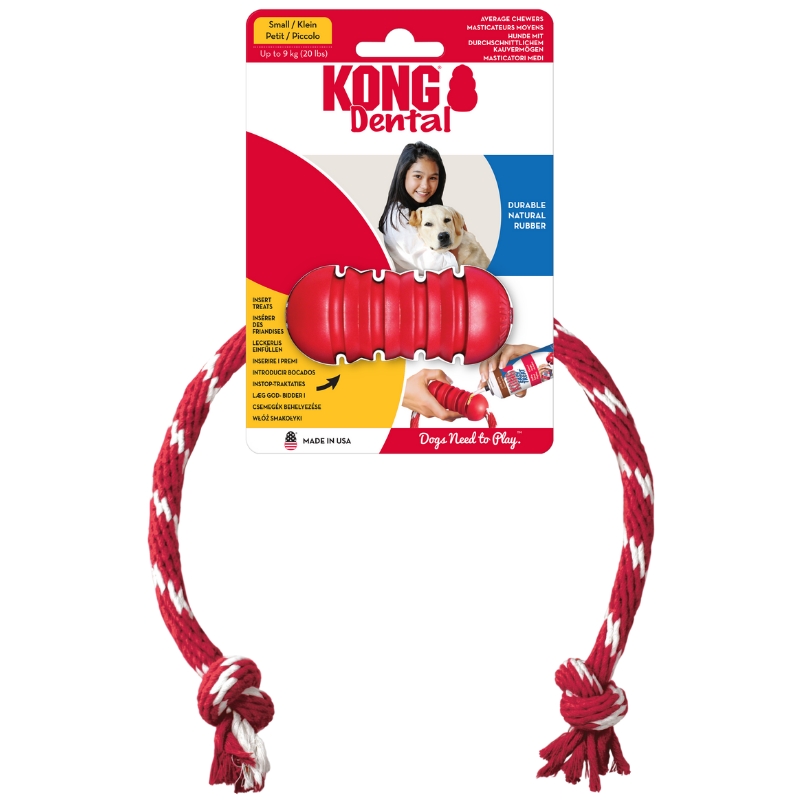 KONG Dental mit Seil