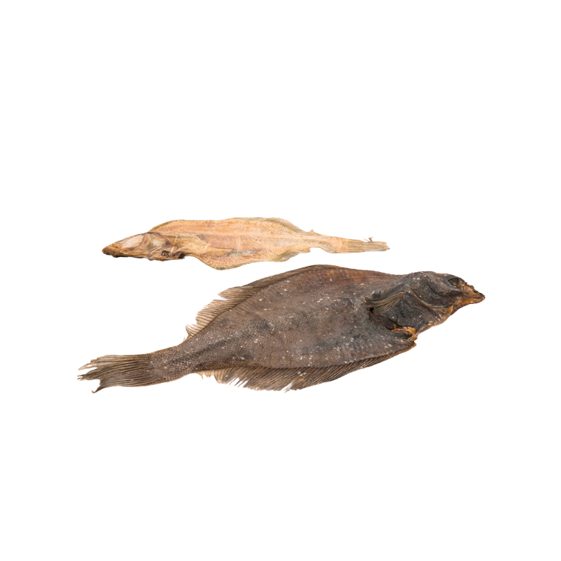 MAX MAG - Fisch Seezungen Schar