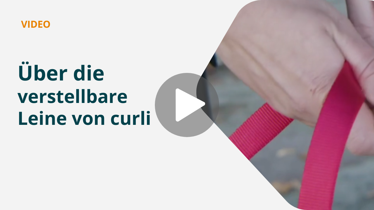 Produktvorstellung dr curli verstellbaren Leine