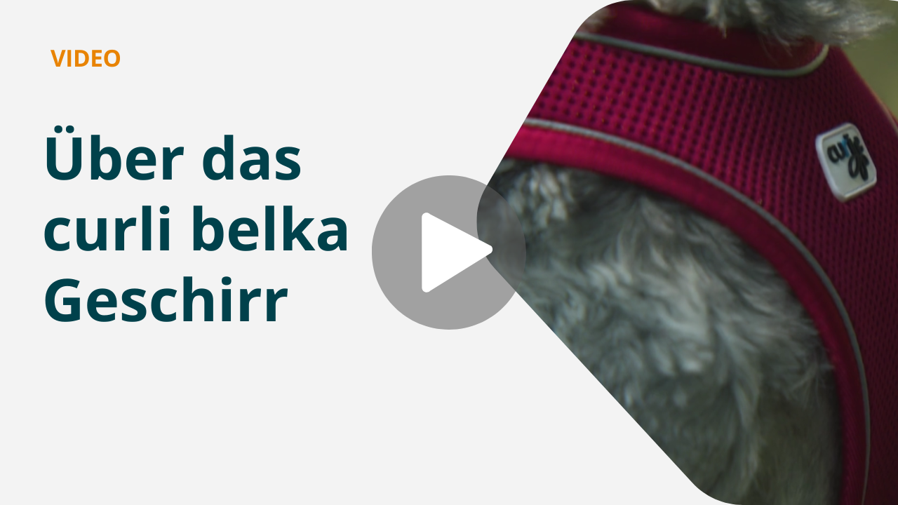 Produktvorstellung zum curli belka Geschirr