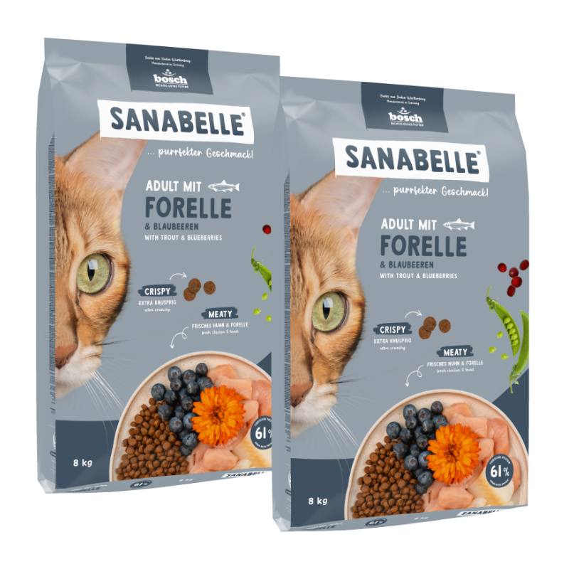 Sanabelle Adult mit Forelle