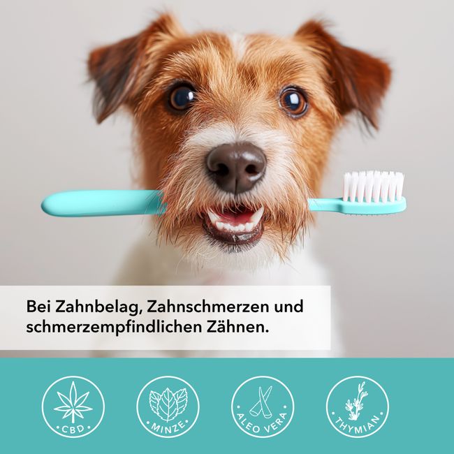 TAMACAN Dental Gel CBD Zahn Zahnfleischpflege