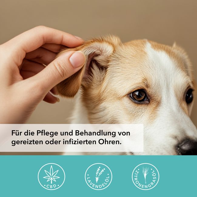 TAMACAN Ohrenwohl CBD Ohrenpflege