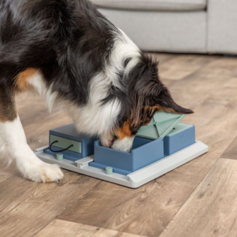 TRIXIE Dog Activity Strategiespiel