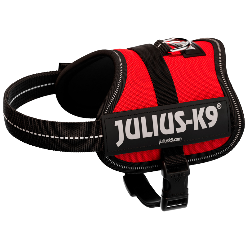 Julius-K9® Powergeschirr® Baby 1–Mini
