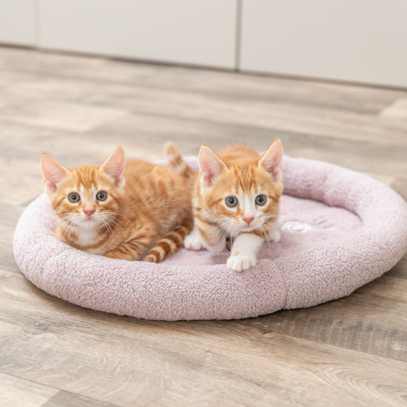 TRIXIE Junior Bett Katze