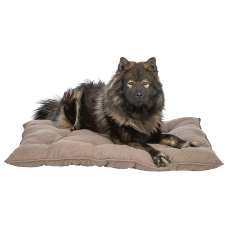 TRIXIE Kissen Caliente