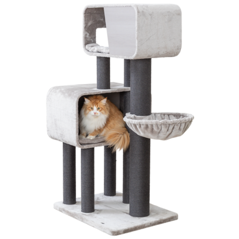 TRIXIE Kratzbaum XXL Rafael