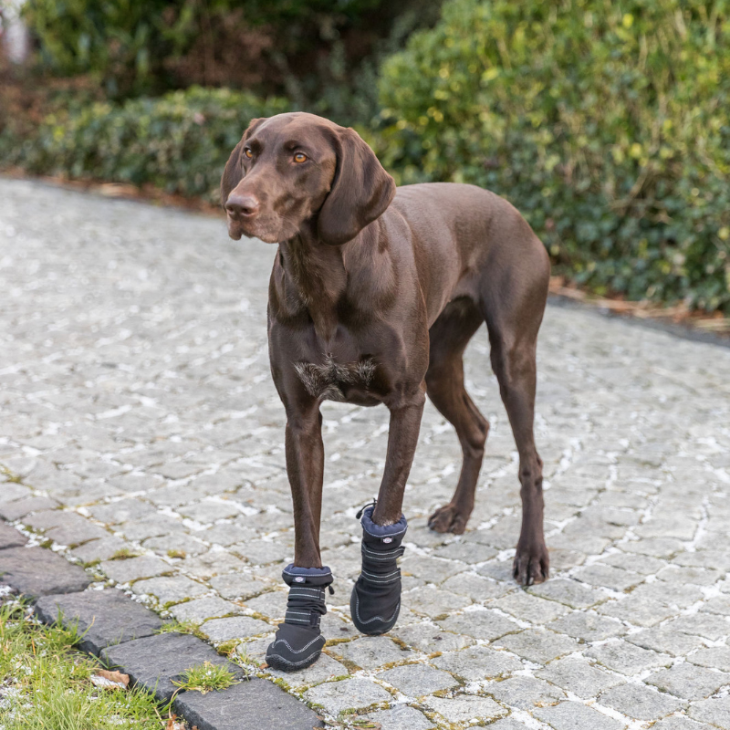 TRIXIE Pfotenschutz Walker Active Long