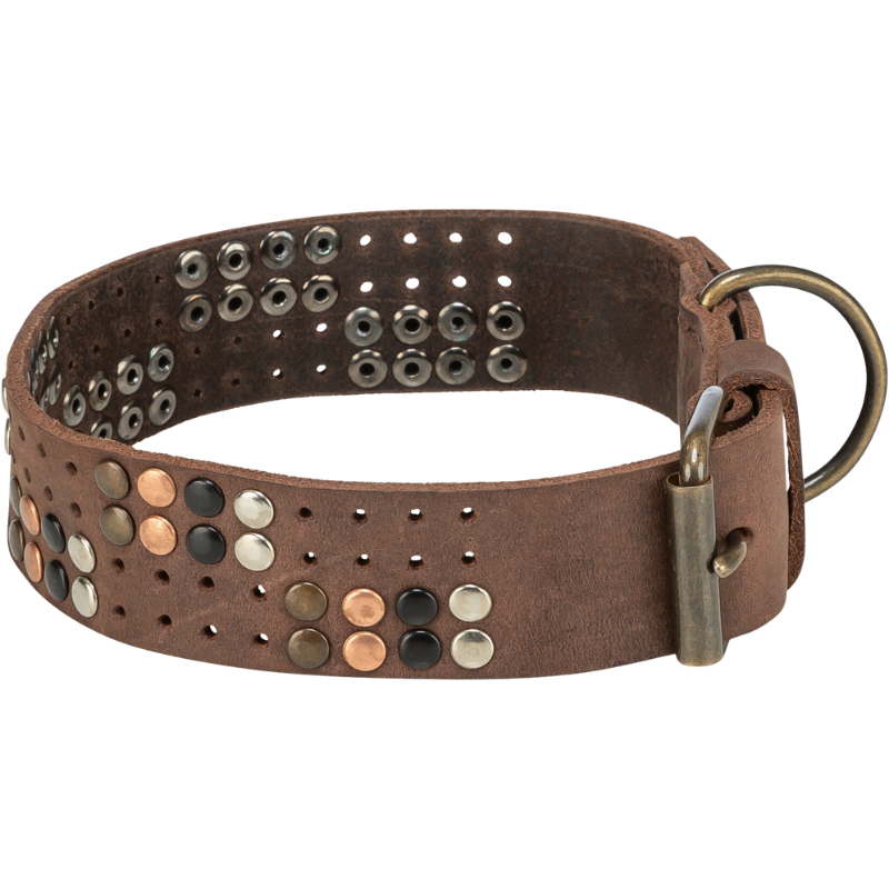 TRIXIE Rustic Fettleder-Halsband Nieten, extra breit