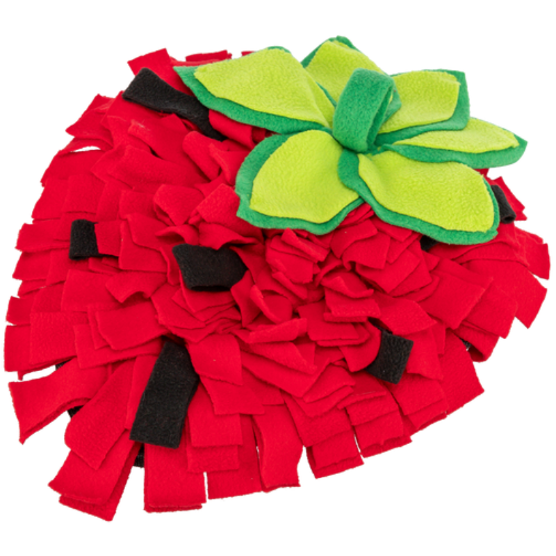 TRIXIE Schnüffelteppich