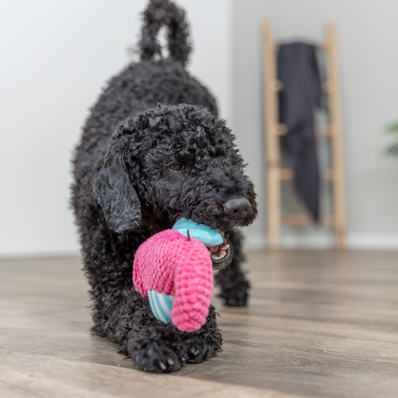 TRIXIE Seepferdchen Plüsch