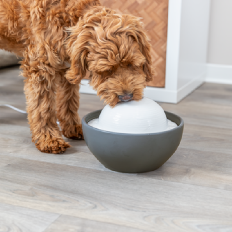 TRIXIE Trinkbrunnen Vital Dome