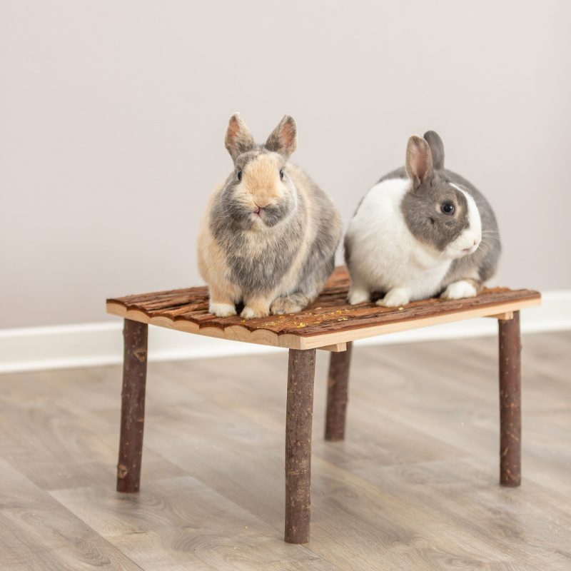 TRIXIE Unterstand und Liegeplatz für Kaninchen