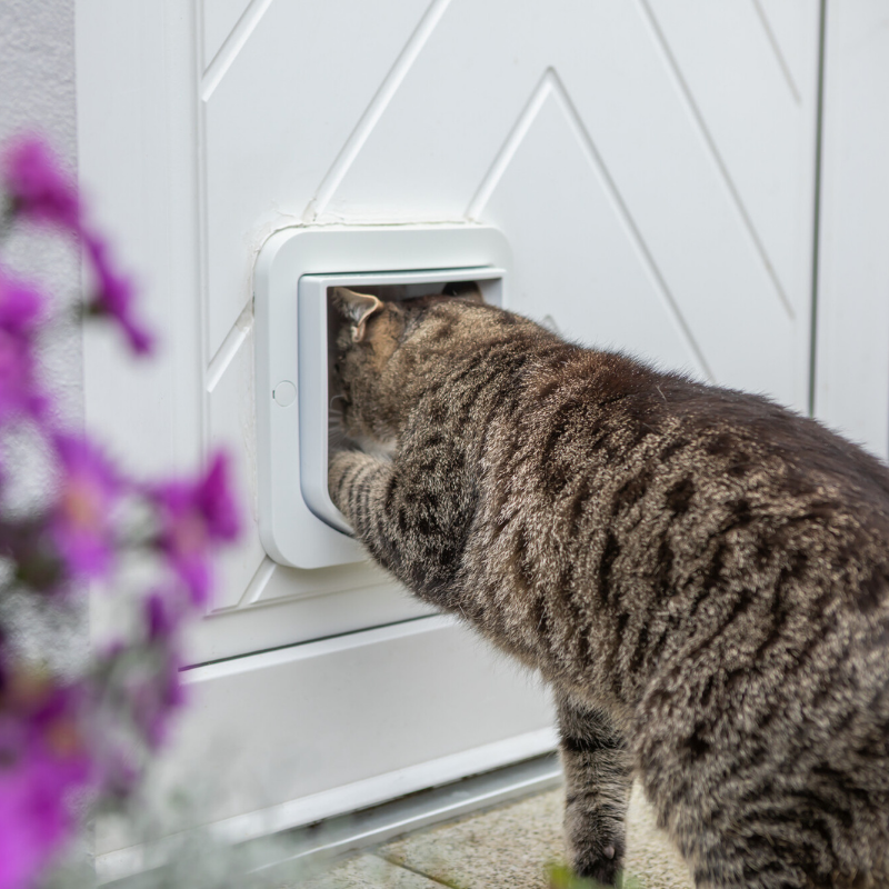 TRIXIE ZeroMOUSE 2.0 – Die smarte Erweiterung für die meisten Mikrochip-Katzenklappen