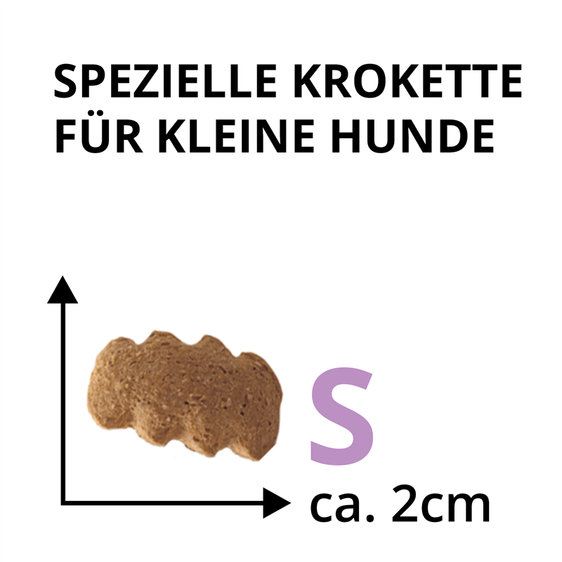 Wildsterne Breed Selection Adult S