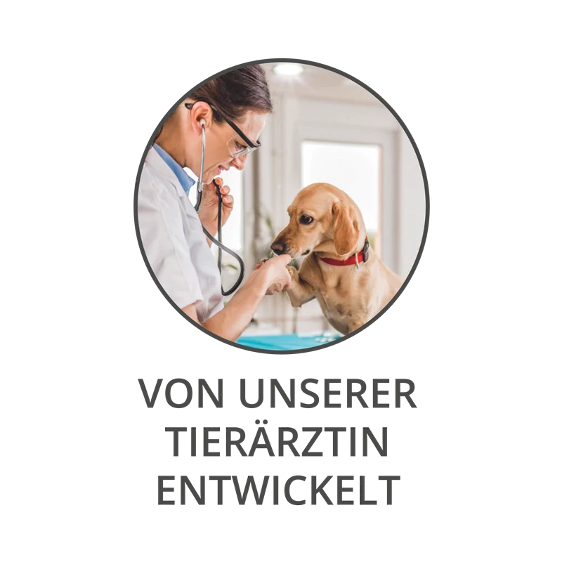 Wildsterne Ente & Kartoffel Junior