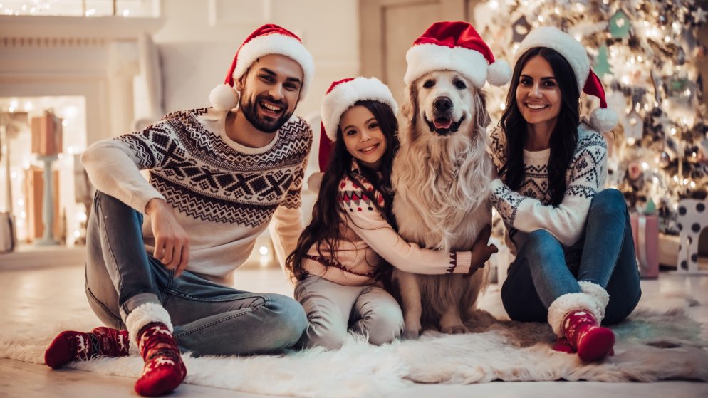 Eine Familie feiert Weihnachten mit ihrem Hund. Die Eltern, Tochter und Hund tragen alle Weihnachtsmützen und sitzen vor dem leuchtenden Weihnachtsbaum.
