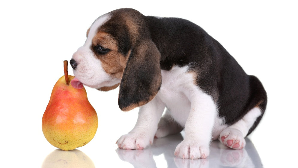 Dürfen Hunde Birnen essen?