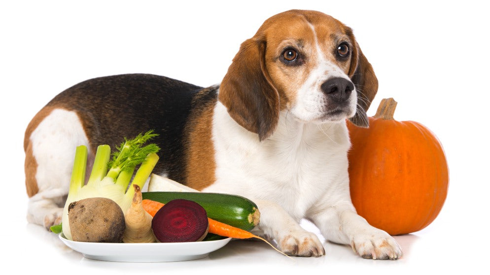 Ein Hund sitzt neben einem Teller voller Gemüse, darunter auch Rote Bete.