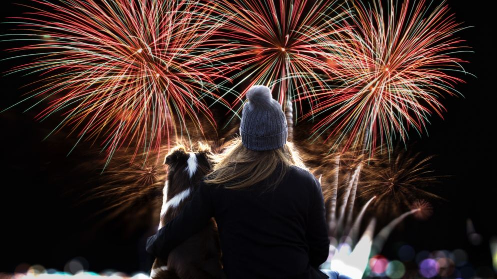 Ein Hund und sein Frauchen schauen an Silvester das Feuerwerk aus der Entfernung an.