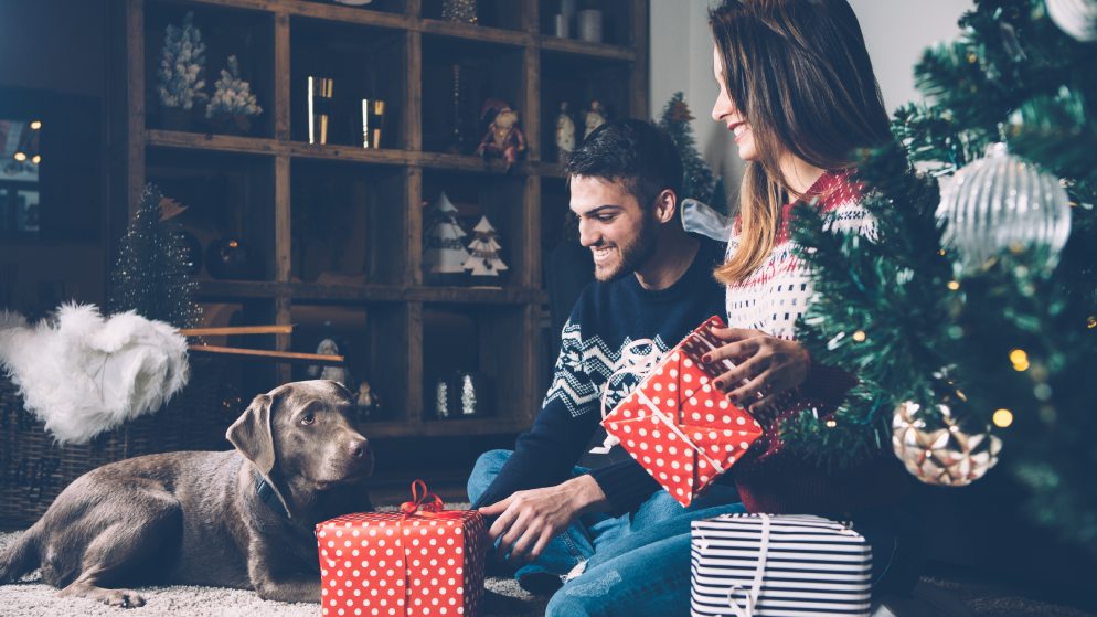 Ein Pärchen mit Hund packt Weihnachtsgeschenke aus.