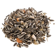BTG Classic Bird Meisenfutter