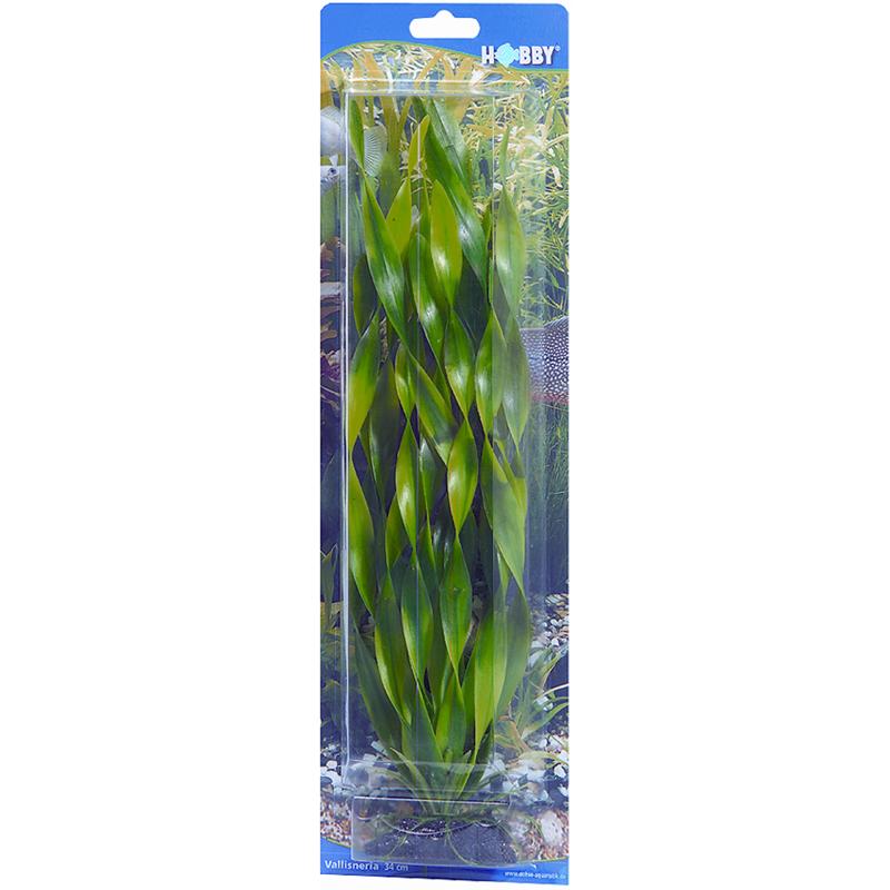 Dohse HOBBY Vallisneria 34 cm SB