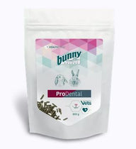 Bunny ProDental